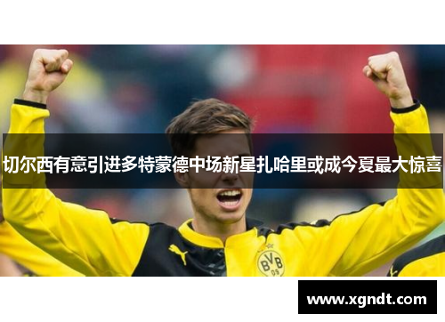 切尔西有意引进多特蒙德中场新星扎哈里或成今夏最大惊喜