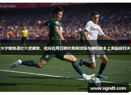 大宁前锋蓬杜火速康复，或将在周日斯坎弗莱球场与赫和推本上演巅峰对决