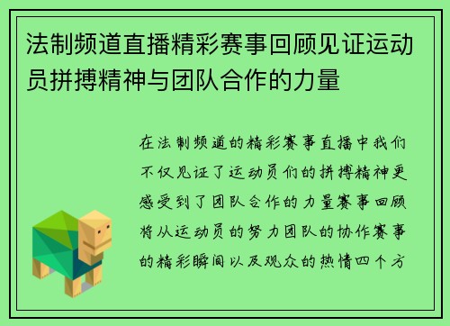 法制频道直播精彩赛事回顾见证运动员拼搏精神与团队合作的力量